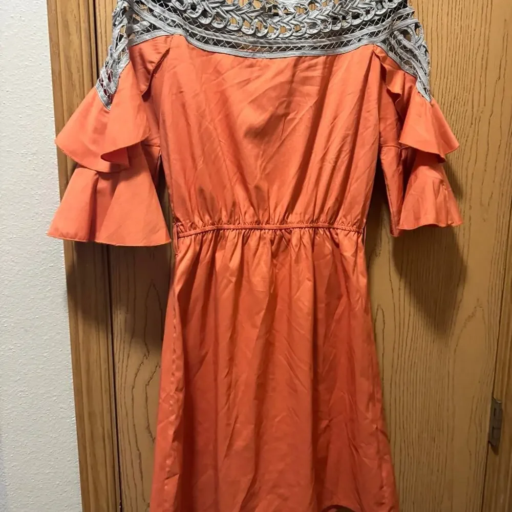 Esley dress with ruffled sleeves size small❤️